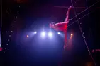 Flip Circus (Through August 30) (Up To 45% Off)