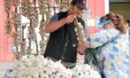 Up to 25% Admission to Washington State Garlic Fest