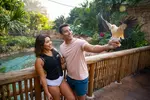 SPECIAL OFFER! Discovery Cove Day Resort – Orlando's #1 Theme Park