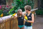 SPECIAL OFFER! Discovery Cove Day Resort – Orlando's #1 Theme Park