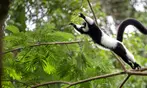 Experience Wildlife - Admission to North Florida Wildlife Center