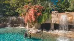 SPECIAL OFFER! Discovery Cove Day Resort – Orlando's #1 Theme Park