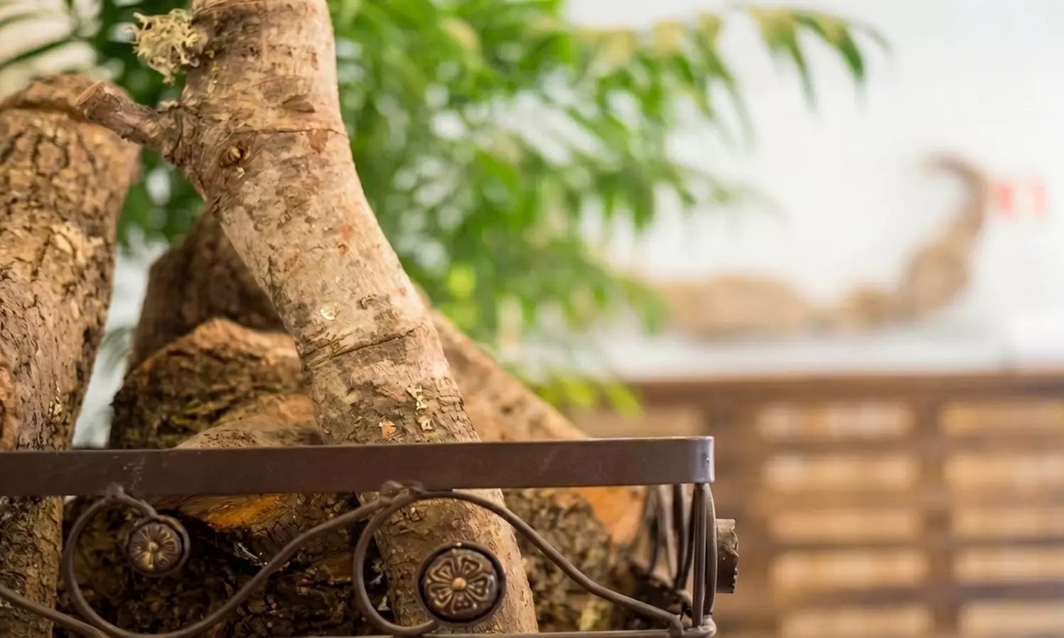 A tu medida: masaje de duración y técnica a elegir para 1 persona