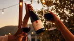 Toast to Summer with Wine: California Pinot Noir 6 or 12 Bottles