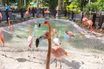 SPECIAL OFFER! Discovery Cove Day Resort – Orlando's #1 Theme Park
