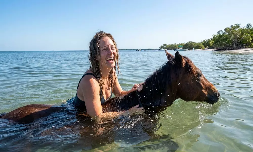 Horseback Riding & Swimming with Horses at In The Breeze Ranch