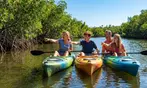 Enjoy a 60-minute kayak or paddleboard rental at Urban Kai - Salt Creek with up to 28% off for an unforgettable water adventure