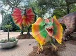 San Antonio Zoo Discount Tickets & Savings!