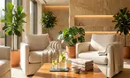 Japanese Head Spa Packages