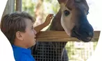 Brevard Zoo Admission & Animal Encounters, Melbourne, FL