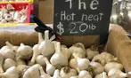 Up to 25% Admission to Washington State Garlic Fest