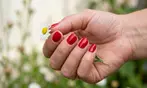 Discover the Perfect Mani-Pedi Experience!