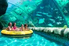 SUMMER SALE! Admission to Aquatica San Antonio Up to 59% Off)