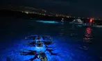 2-Hour Manta Ray Night Snorkel Adventure in Kona Waters