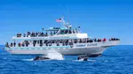 Book Now & Save 10% on Monterey Bay Whale Watching Tours