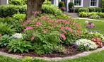 Flower Bulb Collections: Bleeding Hearts, Baby's Breath, Gladiolus, Bee & Butterfly Garden