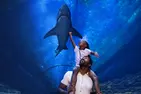 END OF SUMMER SALE! Save 59%! SeaWorld Orlando Tickets