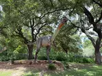 San Antonio Zoo Discount Tickets & Savings!