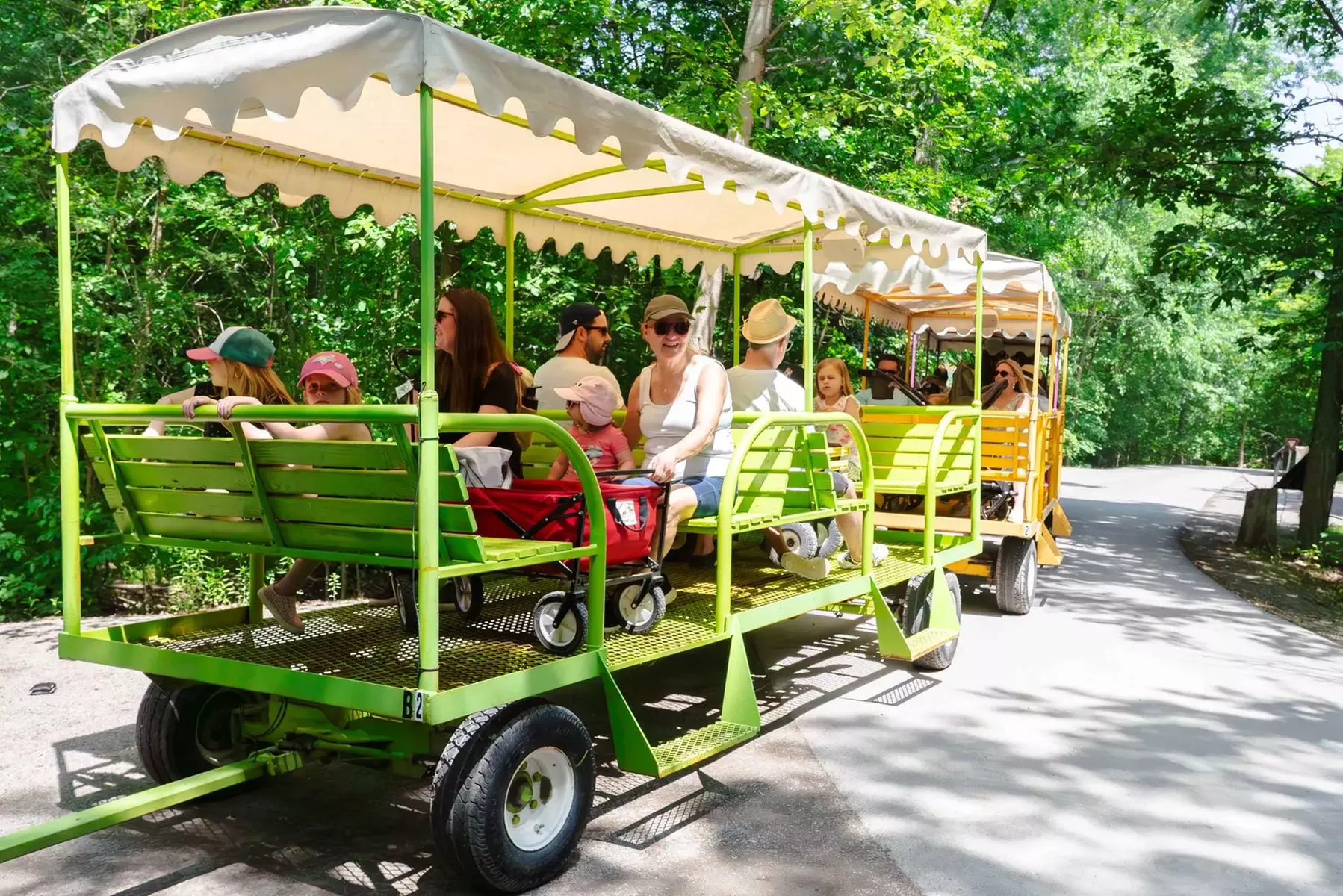 Safari Niagara: Animal Encounters & Thrilling Adventures