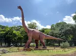 San Antonio Zoo Discount Tickets & Savings!