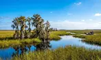 Everglades Airboat Tour Deals & Discounts