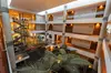 Hotel Port Elche