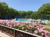 Sea Mist Resort