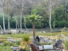 Sequoia Riverfront Cabins