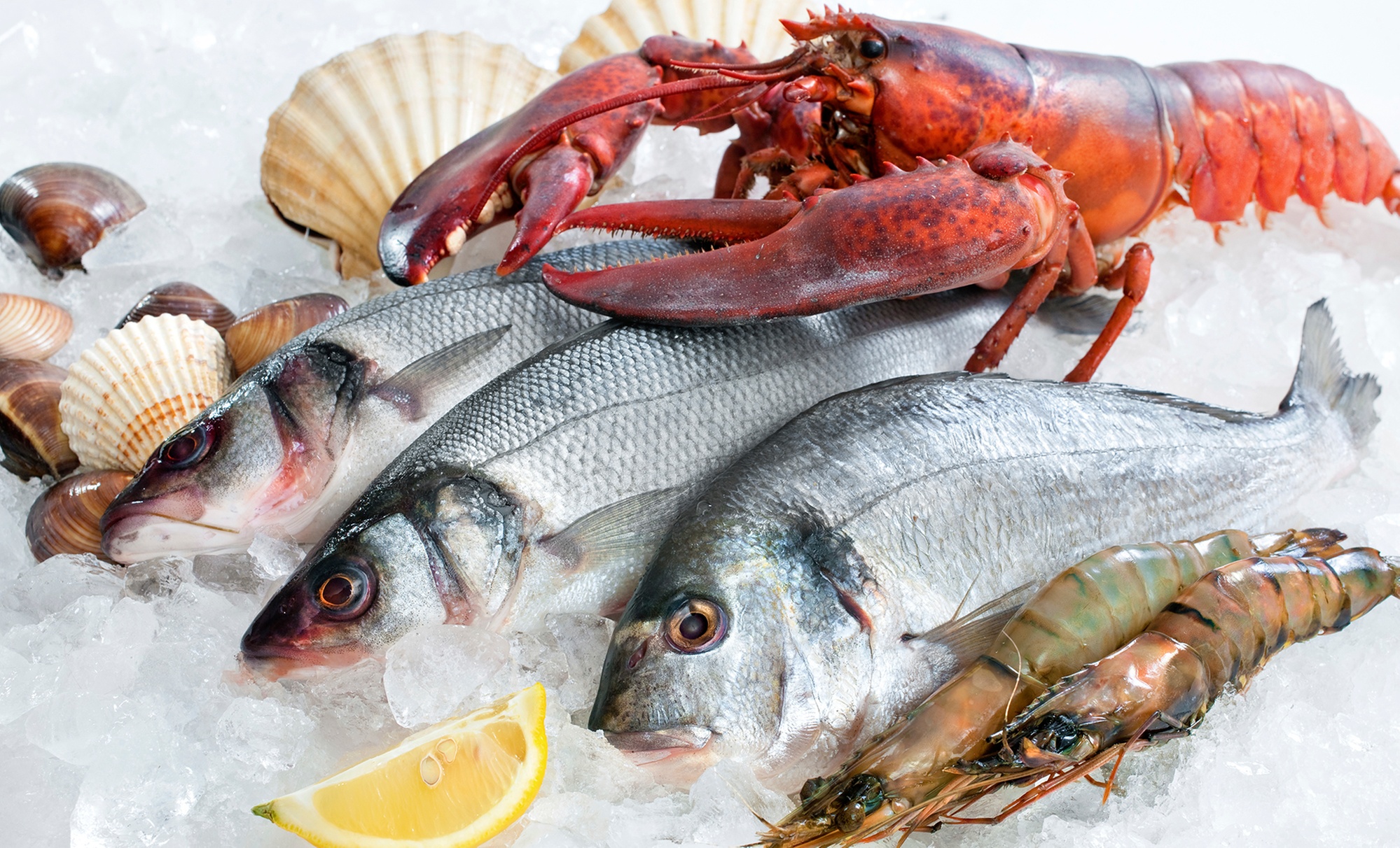 Livraison de plateau de fruits de mer autour de Carnon Plage