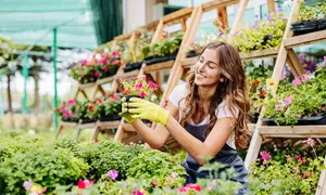 Kurs online: ogrodnik, projektowanie i stylizacja ogrodów z certyfikatem od 69 zł z firmą Kar-Group