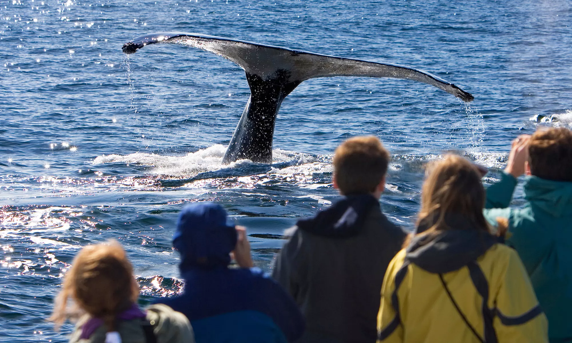 ✈ 6-Day Cape Cod Vacation with Air from Great Value Vacations