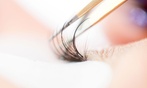 Get a Full Set of Eyelash Extensions with an Optional Two-Week Fill