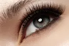 Professional Full-Set Classic, Hybrid, or Volume Eyelash Extensions