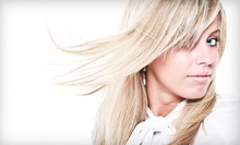 $26 for a Shampoo and Blowout at Orbit Salon