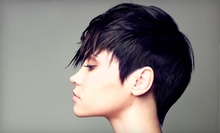 $26 for a Wash and Blow Dry at Papillon Hair Salon