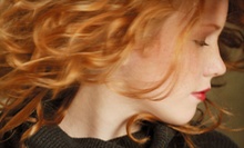 $35 for a Wash, Cut, Style &amp; Redken Conditioning Treatment  at The Snippery Hair Studio