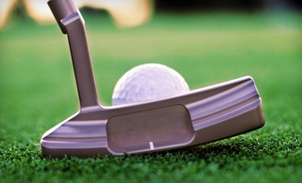 $29 for a 45-Minute Golf Lesson at A.Lee Golf Lessons $29 for a 45-Minute Golf Lesson at A.Lee Golf Lessons