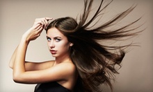 $35 for a Partial Highlight, Cut, Style, Wash &amp; Deep Conditioning at DiGiovanni Beauty Salon
