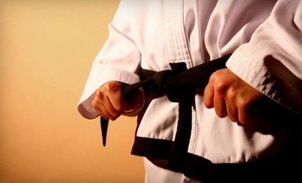 $10 for a 5:30 p.m. Intro to Karate Class at USA Karate