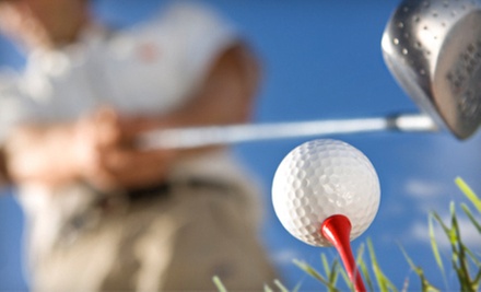 $35 for a Dynamic Loft and Lie Golf Fitting at Blind 9 Golf $35 for a Dynamic Loft and Lie Golf Fitting at Blind 9 Golf