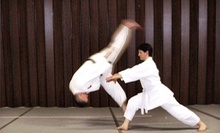 $3 for $6 at Peninsula Odd Fellows Aikido