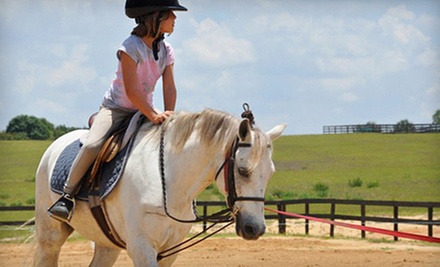 $27 for a Single Riding Lesson at La Finca Stables