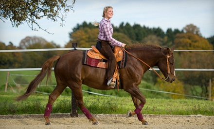 $35 for a First Time Horse Lovers Experience at Blackthorn Farms