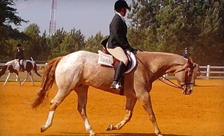 $50 for 90min Horseback Trail Ride at Saddletree Stables $50 for 90min Horseback Trail Ride at Saddletree Stables
