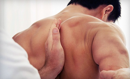 $20 for a Chiropractic Treatment at Stekel Chiropractic
