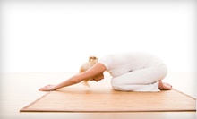 $9 for a Yoga Basics Drop-In Class at 9:30 a.m. at The American Yoga Academy & Studio