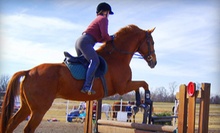 $19 for a 60-Minute Horse Riding Lesson at Whispering Winds Training Center