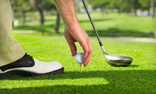 $25 for a 30-Minute Golf Lesson at Golf Academy Sean P. Kicker, PGA Professional