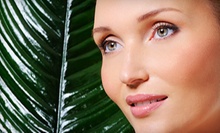 $69 for a 70-Minute Hungarian Ultimate Facial Microderm Treatment at Skincare by Kathryn