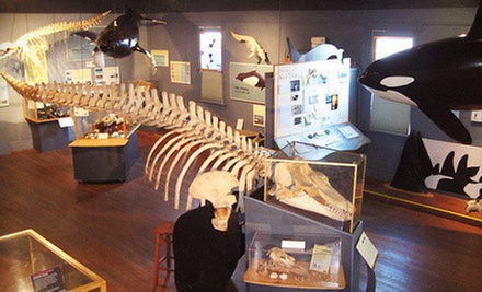 $6 for Two Adult Admissions at The Whale Museum
